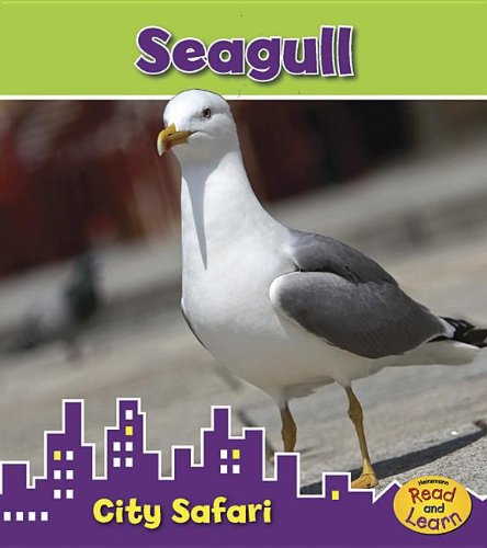 Seagull: City Safari by Isabel Thomas