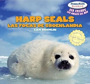 Harp Seals / Las focas de groenlandia