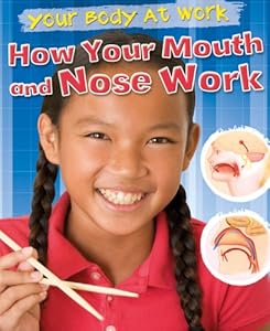 How Your Mouth and Nose Work (Your Body at Work)