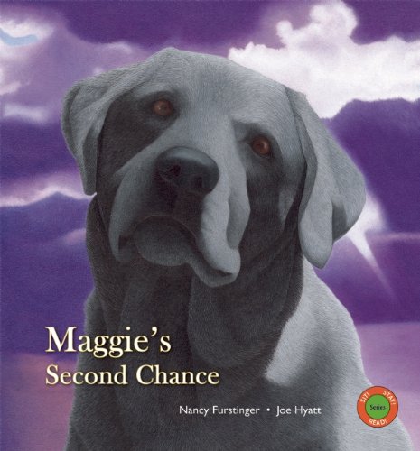 Maggie's Second Chance by Nancy Furstinger