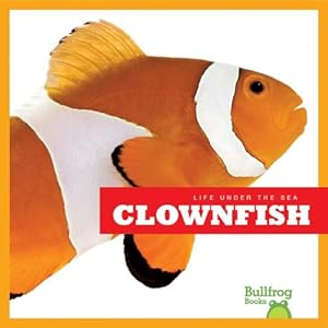 Clown Fish
