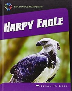 Harpy eagle