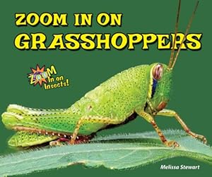 Zoom in on Grasshoppers