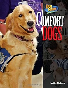 Comfort Dogs