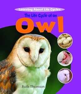 The Life Cycle of an Owl (Learning about Life Cycles)