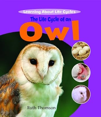 The Life Cycle of an Owl (Learning about Life Cycles)