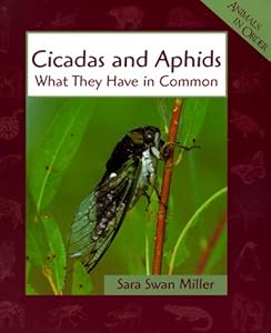 Cicadas and Aphids: What They Have in Common (Animals in Order)
