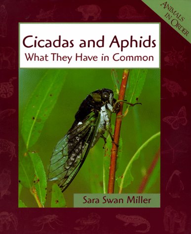Cicadas and Aphids: What They Have in Common (Animals in Order) by Sara Swan Miller