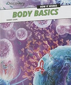 Body Basics