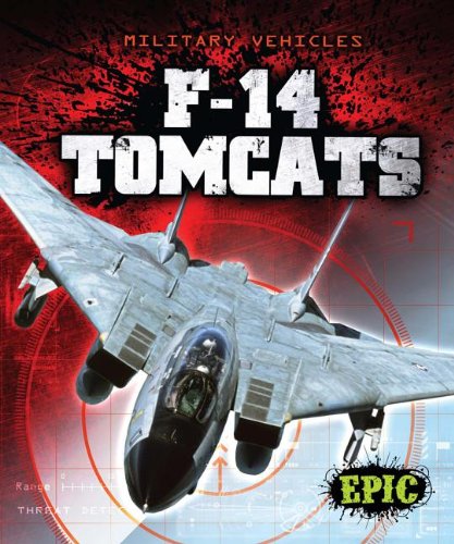 F-14 Tomcats by Denny Von Finn