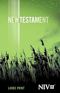 NIV New Testament, Large Print