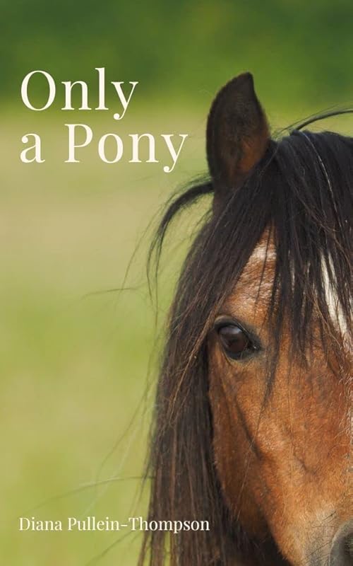 Only a Pony (Augusta and Christina Book 4) by Diana Pullein-Thompson