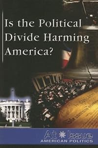 Is the Political Divide Harming America? (At Issue Series) by Julia Bauder
