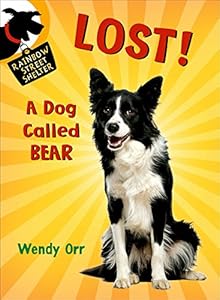 LOST! A Dog Called Bear