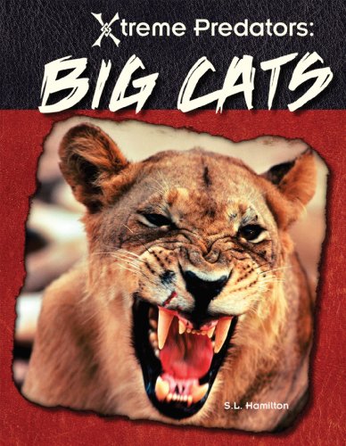 Big Cats by S. L. Hamilton