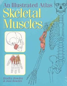 An Illustrated Atlas of the Skeletal Muscles by Bradley S. Bowden