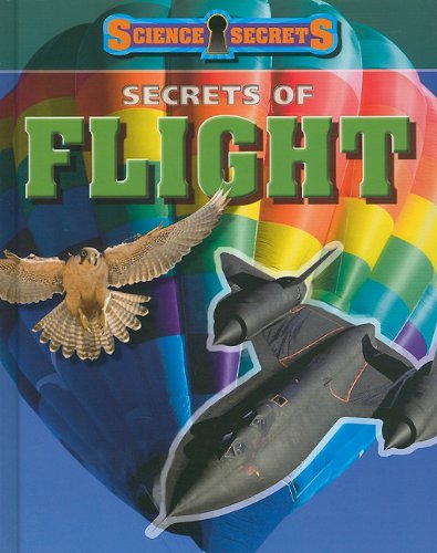 Secrets of Flight by Andrew Solway
