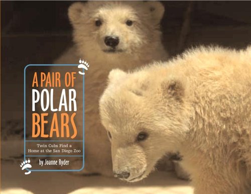 A Pair of Polar Bears: Twin Cubs Find a Home at the San Diego Zoo by Joanne Ryder