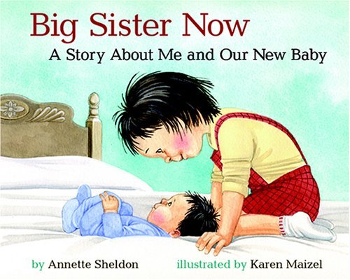 Big Sister Now: A Story about Me and Our New Baby by Annette Sheldon