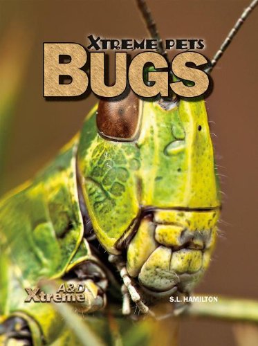 Bugs by Sue L Hamilton