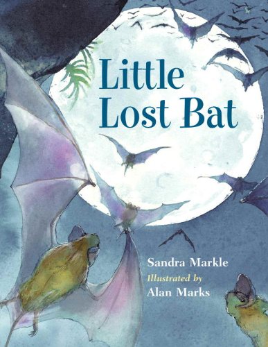 Little Lost Bat by Sandra Markle