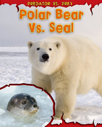 Polar Bear vs. Seal (Predator vs. Prey) by Mary Meinking