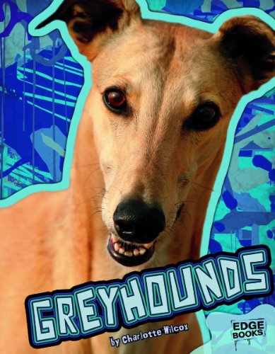 Greyhounds by Charlotte Wilcox
