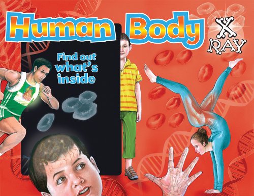 Human Body X-Ray: Find out what's inside (X-Ray Window Series) by The Book Company Editorial
