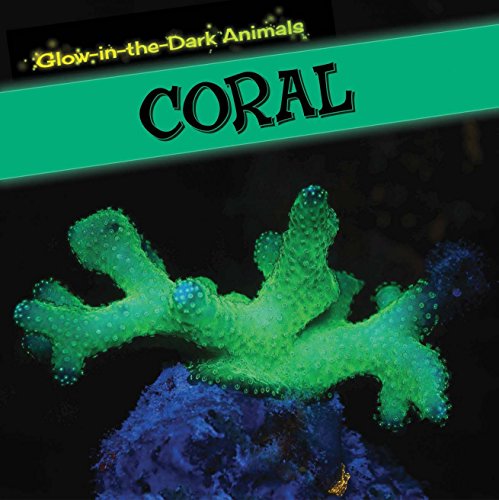 Coral by Sarah Machajewski
