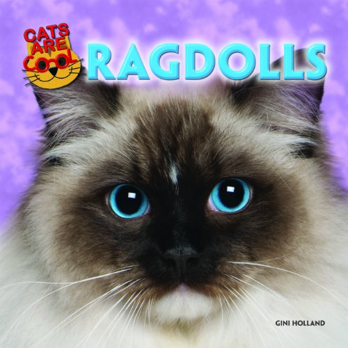 Ragdolls by Gini Holland