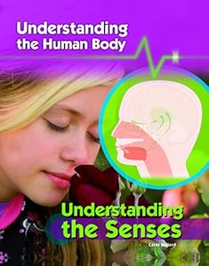 Understanding the Senses