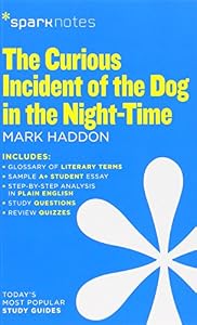 The Curious Incident of the Dog in the Night-Time