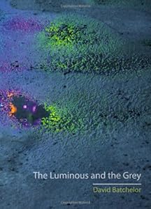 The Luminous and the Grey by David Batchelor