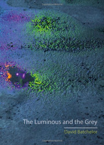 The Luminous and the Grey by David Batchelor
