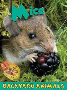 Mice by Leia Tait