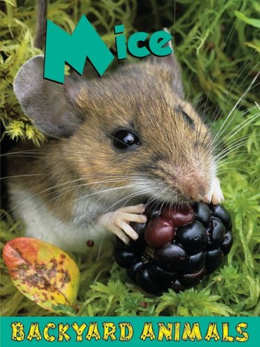Mice by Leia Tait