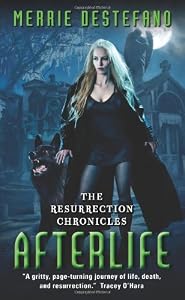 Afterlife: The Resurrection Chronicles