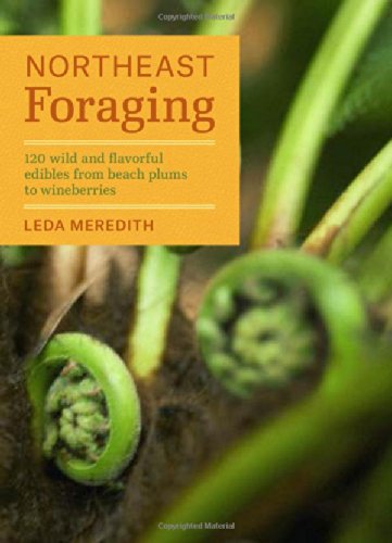 Northeast Foraging: 120 wild and flavorful edibles from beach plums to wineberries by Leda Meredith