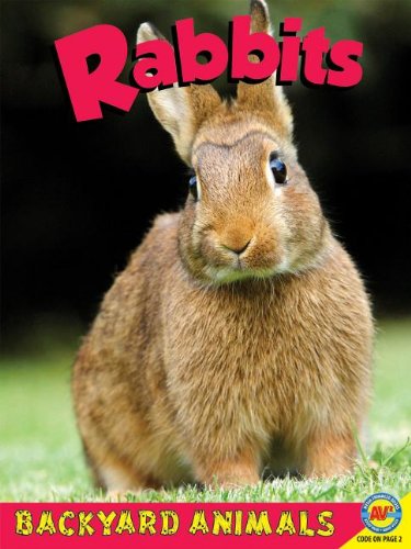 Rabbits with Code by Annalise Bekkering