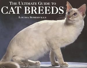 Ultimate Guide to Cat Breeds