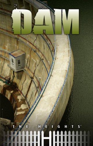 Dam by Saddleback Educational Publishing