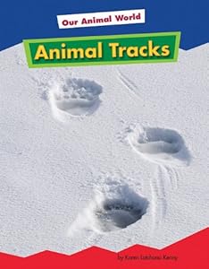 Animal Tracks