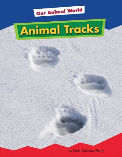 Animal Tracks by Karen Latchana Kenney