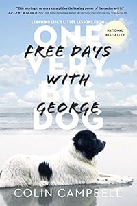Free Days With George: Learning Life's Little Lessons from One Very Big Dog by Colin Campbell