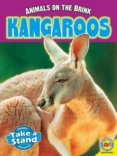 Kangaroos by Patricia Miller-Schroeder