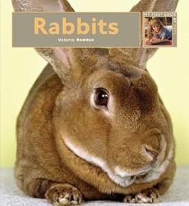 My First Look At: Rabbits