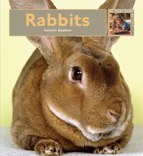 My First Look At: Rabbits by Valerie Bodden