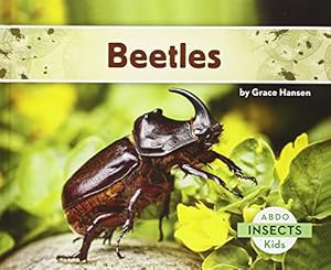 Beetles
