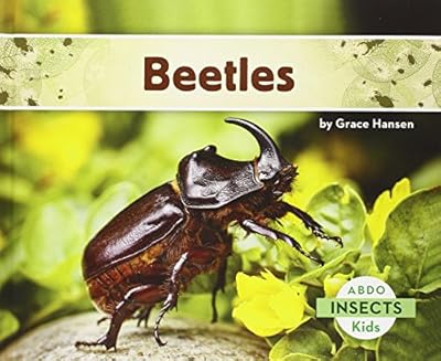 Beetles