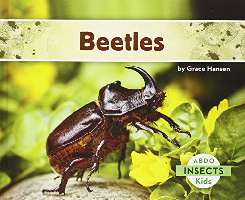 Beetles by Grace Hansen